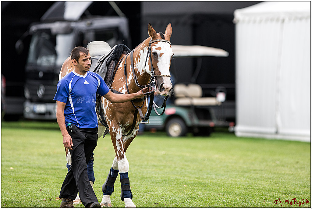 Polo Picknick Muenster 2017, 30.07.2017
