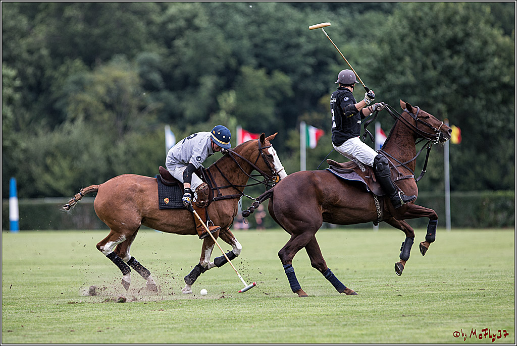 Polo Picknick Muenster 2017, 30.07.2017