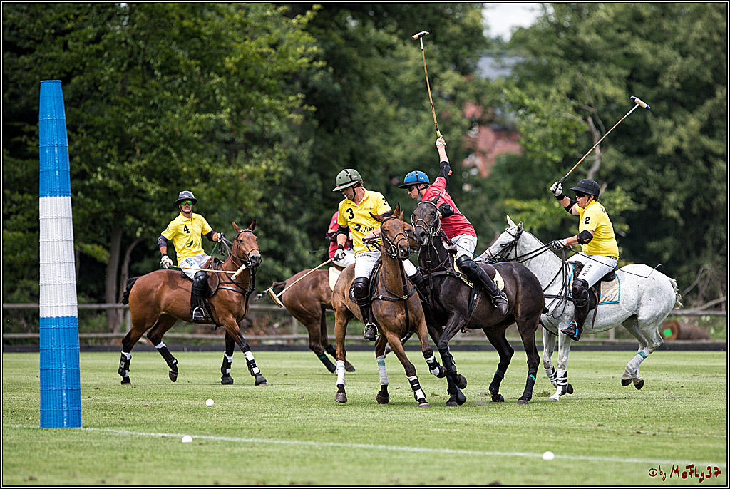 Polo Picknick Muenster 2017, 30.07.2017