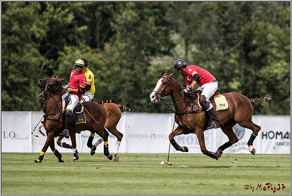 Polo Picknick Muenster 2017, 30.07.2017