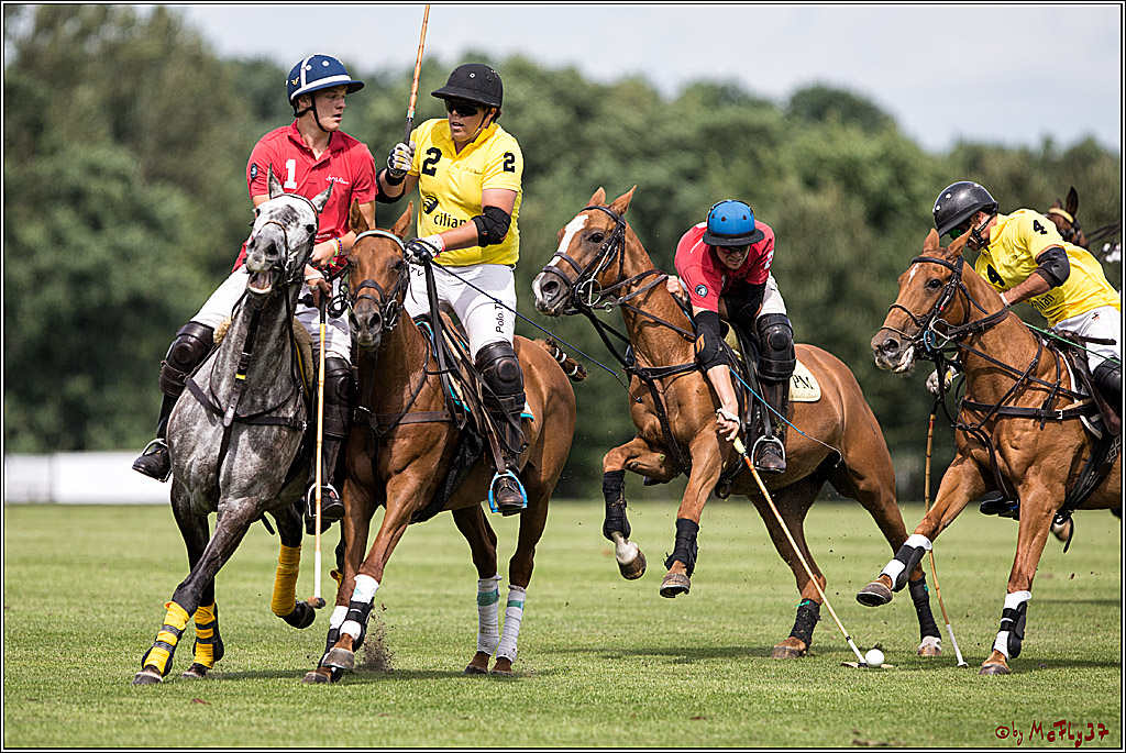 Polo Picknick Muenster 2017, 30.07.2017