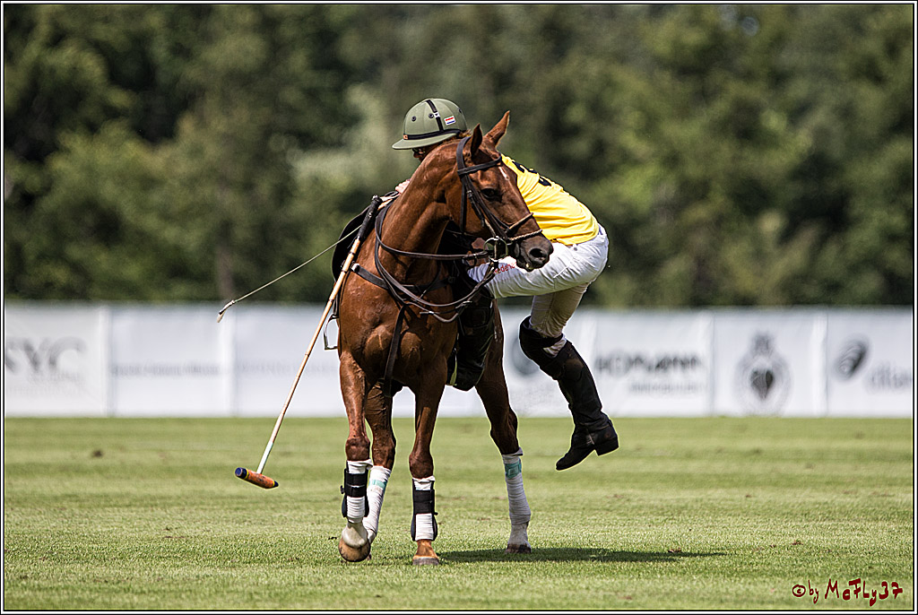Polo Picknick Muenster 2017, 30.07.2017
