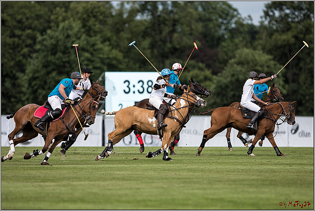 Polo Picknick Muenster 2017, 30.07.2017