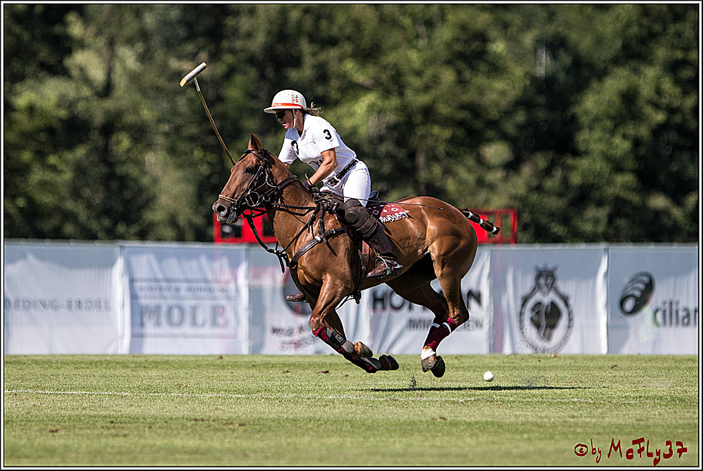 Polo Picknick Muenster 2017, 30.07.2017