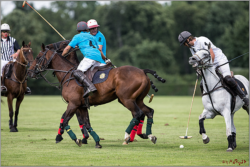 Polo Picknick Muenster 2017, 30.07.2017