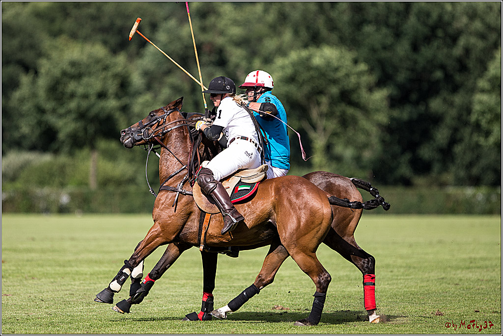 Polo Picknick Muenster 2017, 30.07.2017