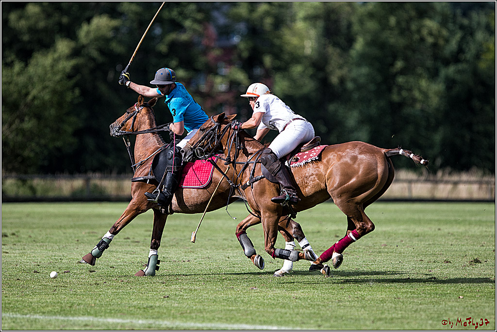 Polo Picknick Muenster 2017, 30.07.2017