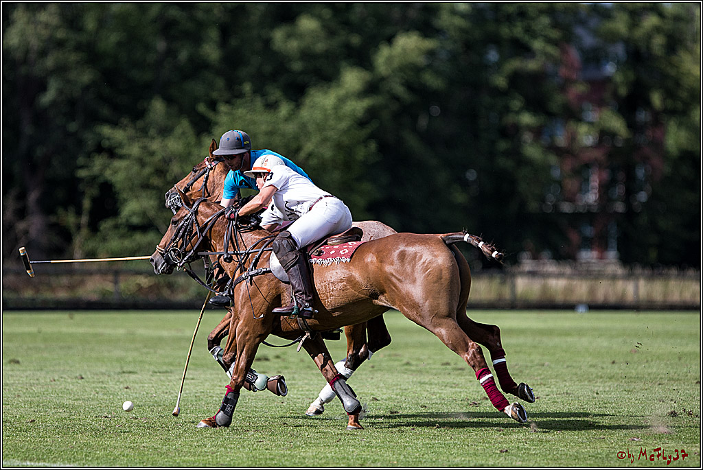 Polo Picknick Muenster 2017, 30.07.2017