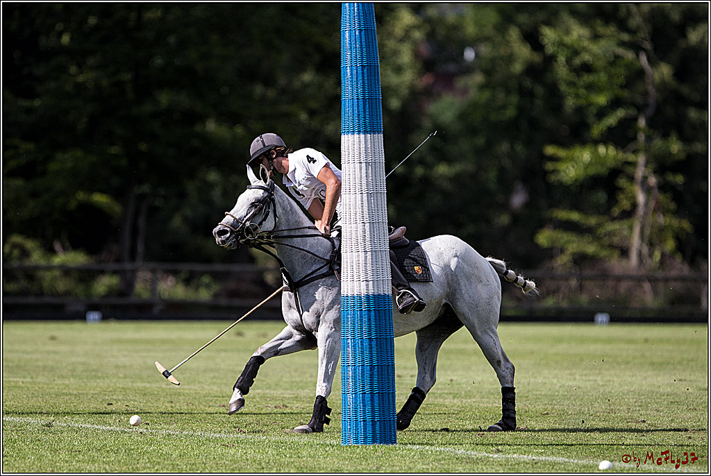Polo Picknick Muenster 2017, 30.07.2017