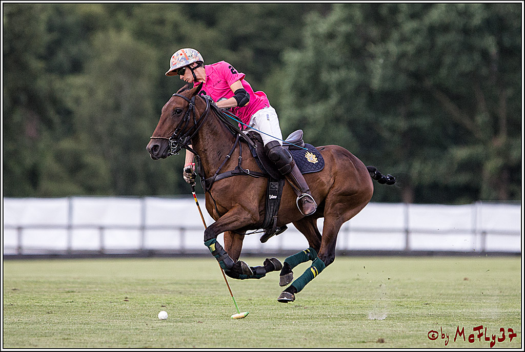 Polo Picknick Muenster 2017, 30.07.2017