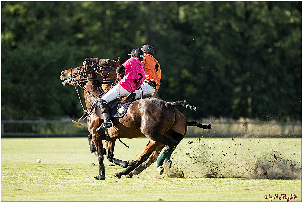 Polo Picknick Muenster 2017, 30.07.2017