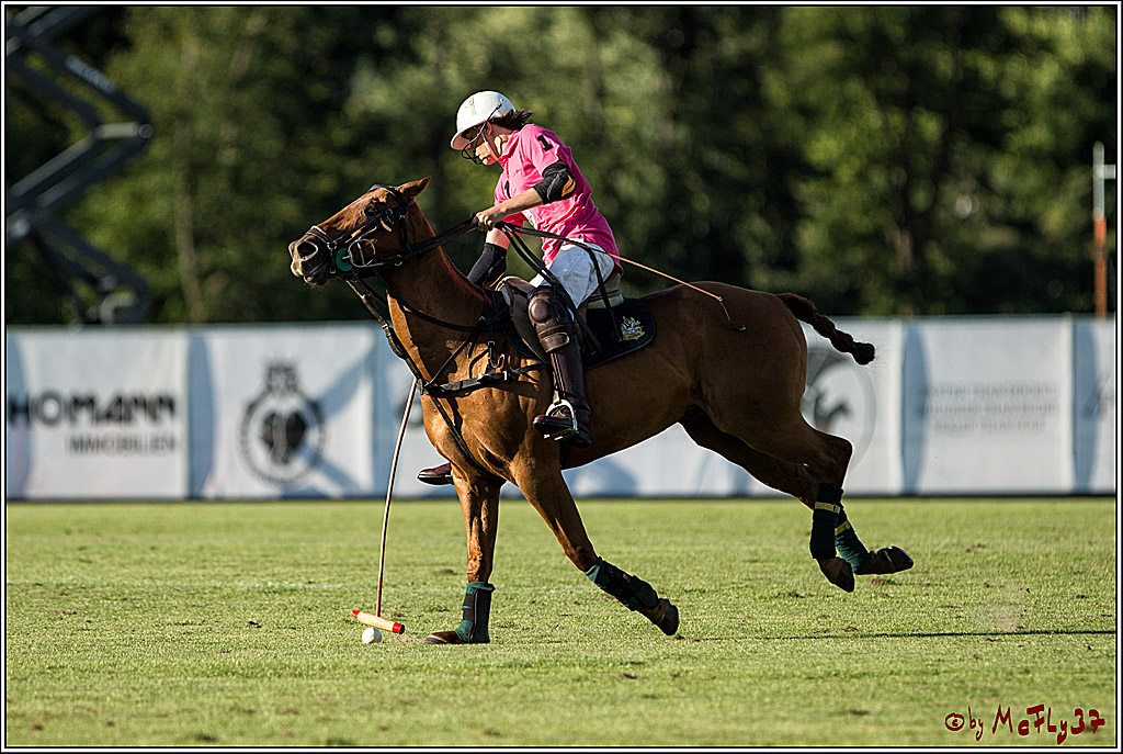 Polo Picknick Muenster 2017, 30.07.2017