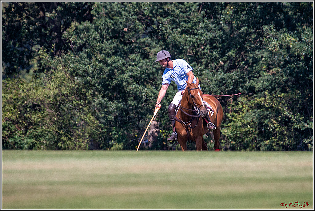 Polopicknick2019