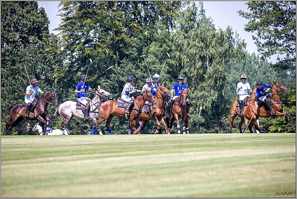 16. Polopicknick, 26.07.2019