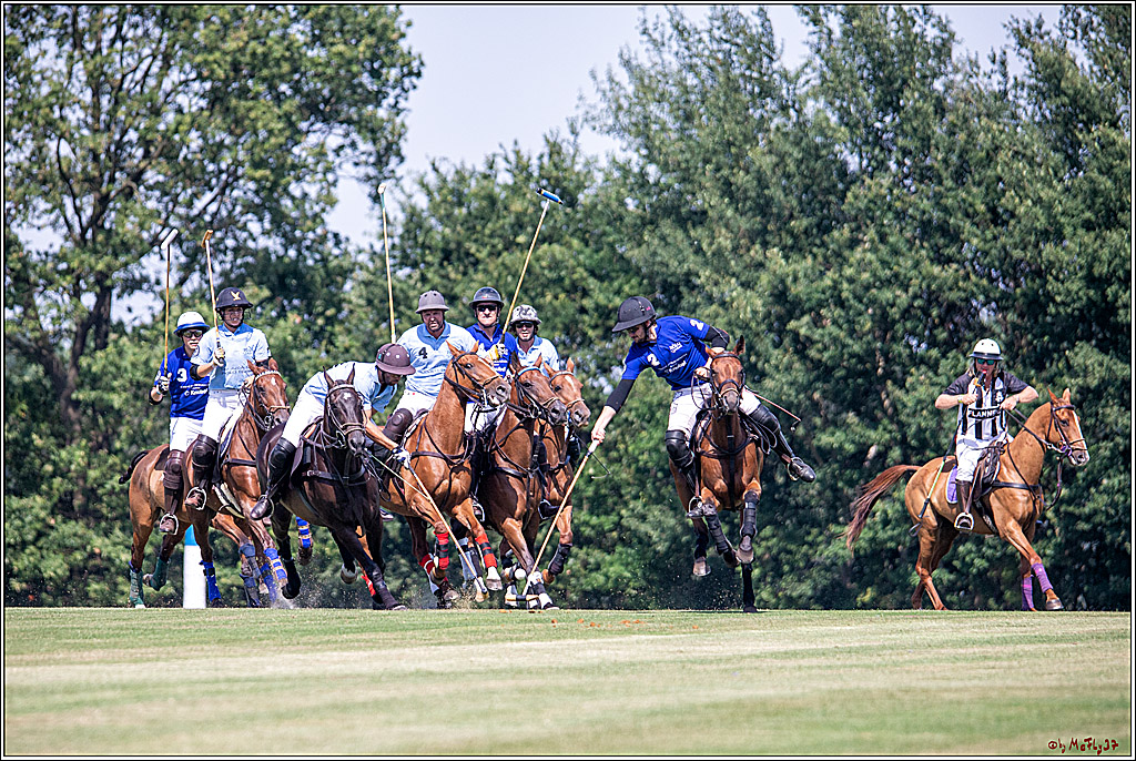16. Polopicknick, 26.07.2019