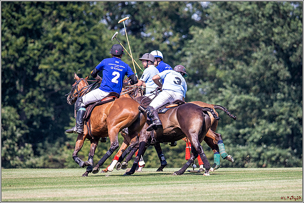 16. Polopicknick, 26.07.2019