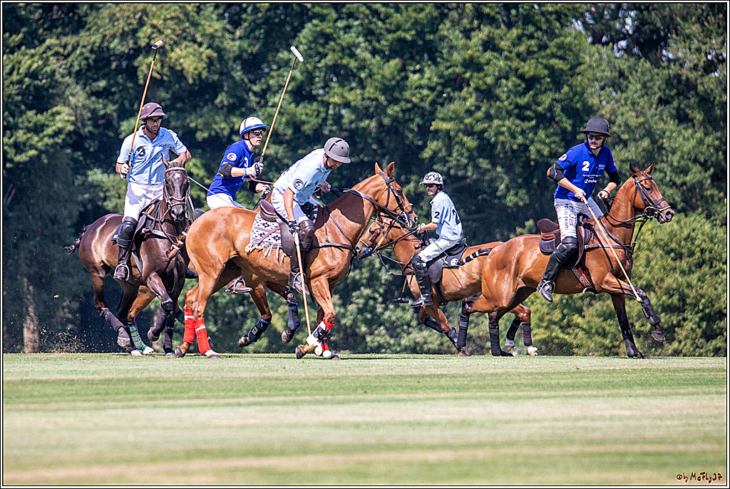 16. Polopicknick, 26.07.2019