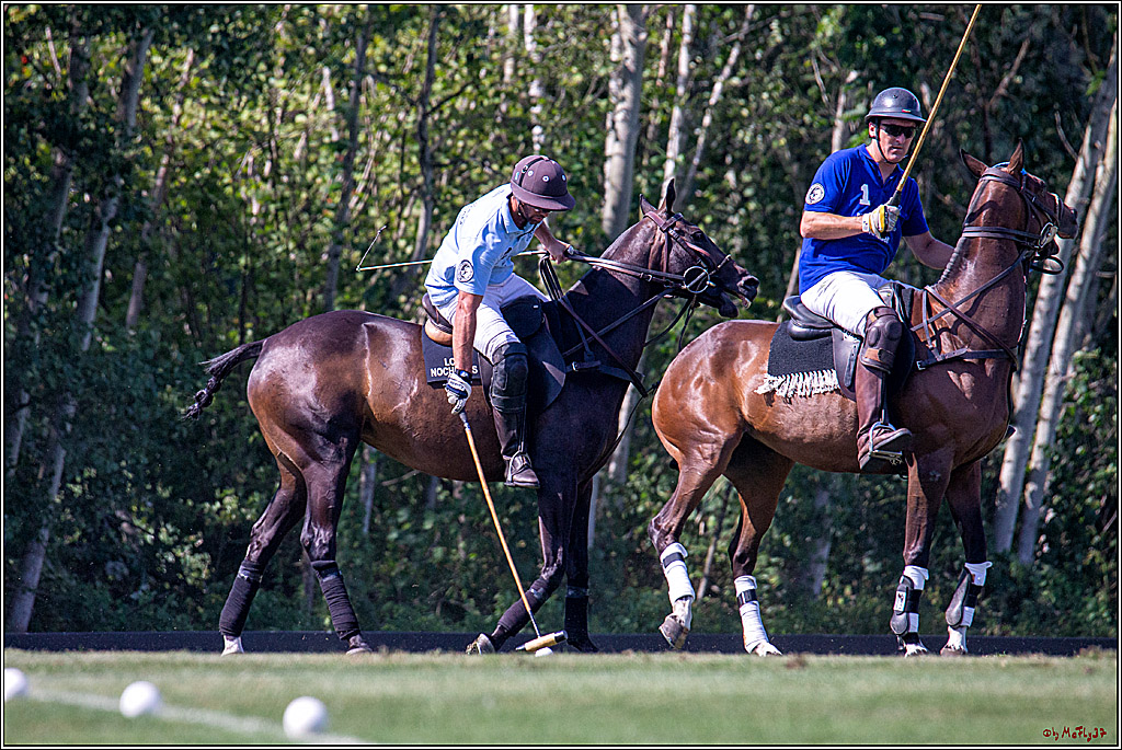 16. Polopicknick, 26.07.2019