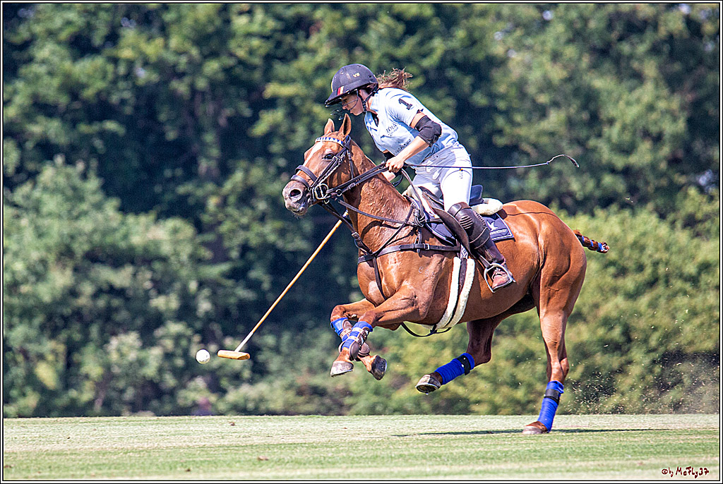 16. Polopicknick, 26.07.2019