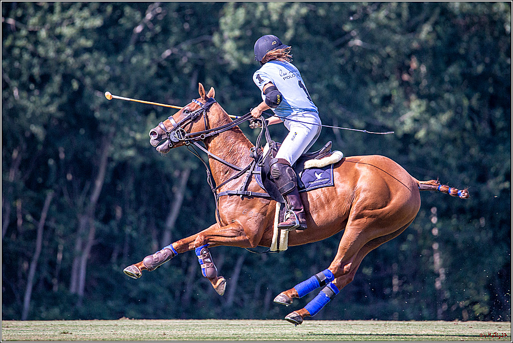 16. Polopicknick, 26.07.2019