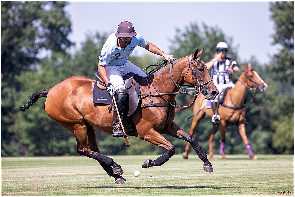 16. Polopicknick, 26.07.2019