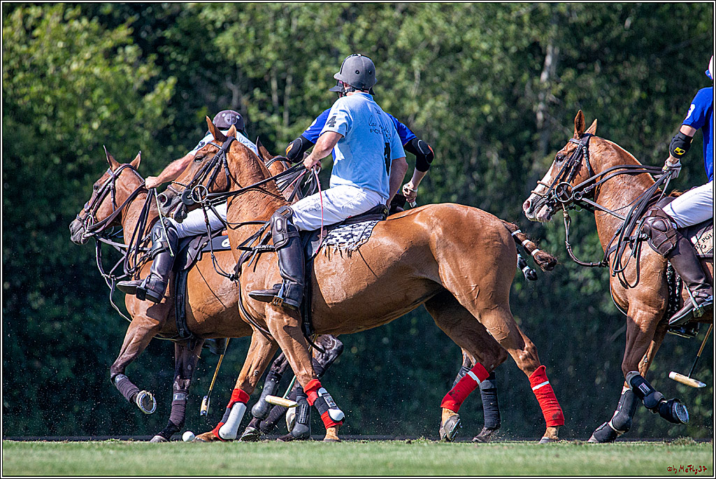 16. Polopicknick, 26.07.2019