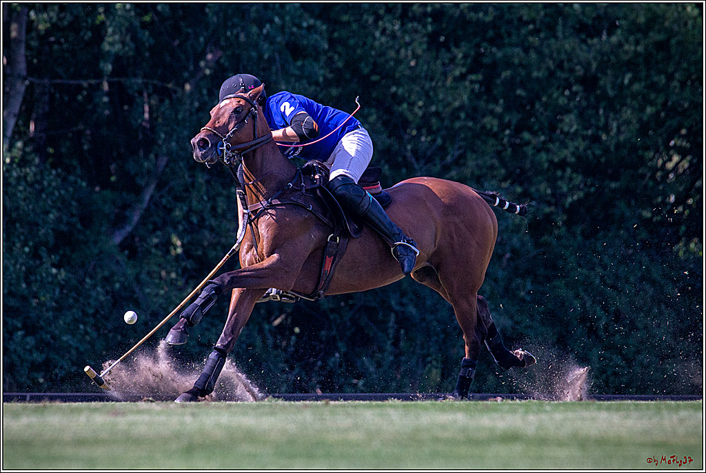 16. Polopicknick, 26.07.2019