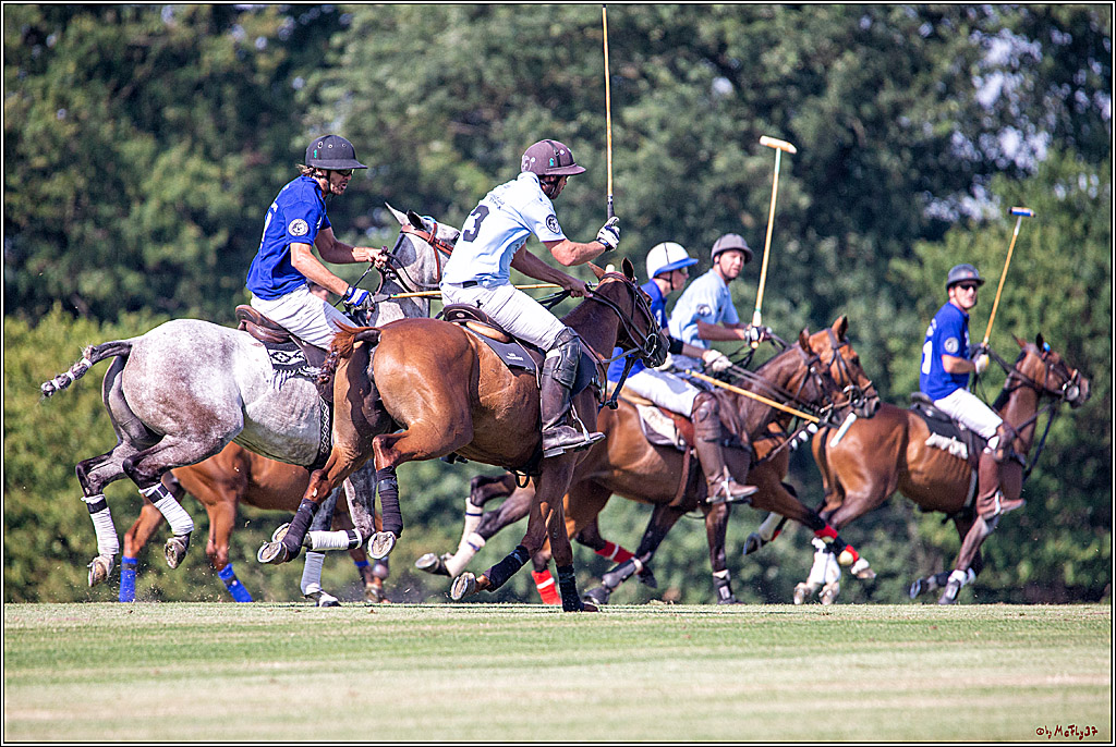16. Polopicknick, 26.07.2019
