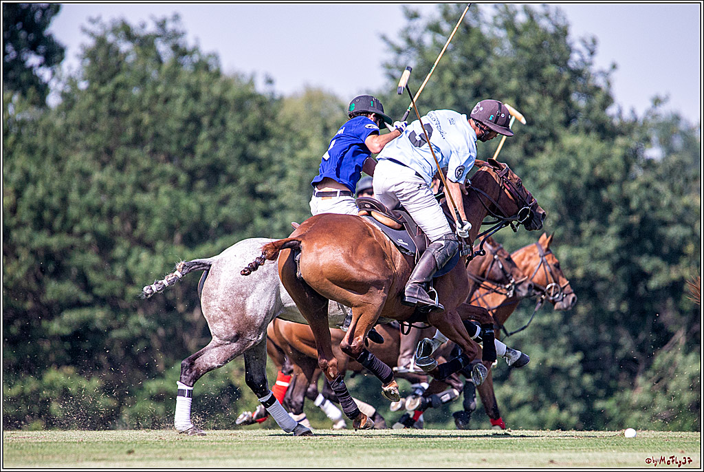 16. Polopicknick, 26.07.2019