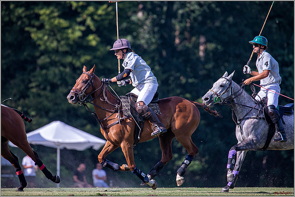 16. Polopicknick, 26.07.2019