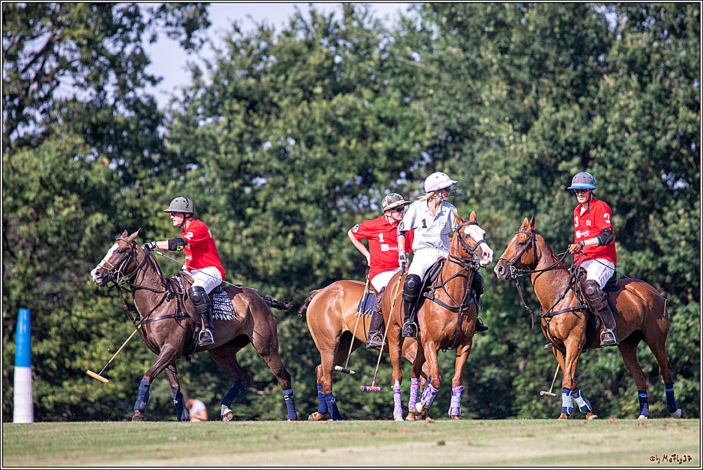 16. Polopicknick, 26.07.2019