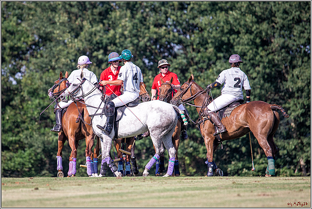16. Polopicknick, 26.07.2019