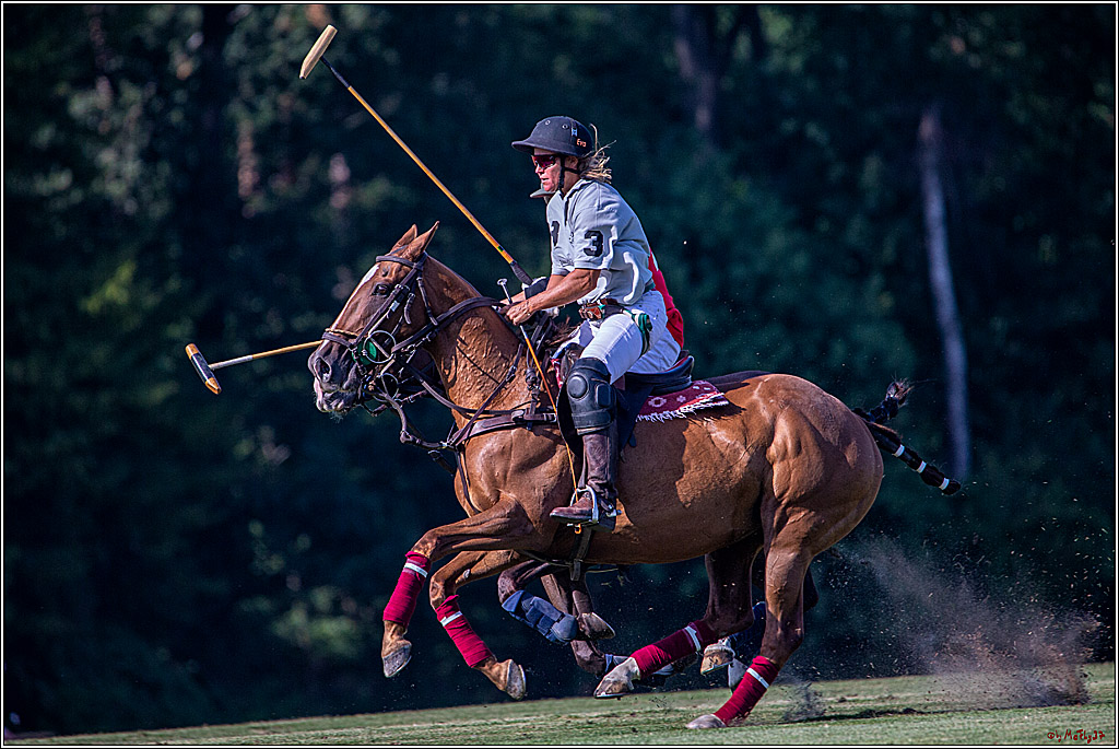 16. Polopicknick, 26.07.2019