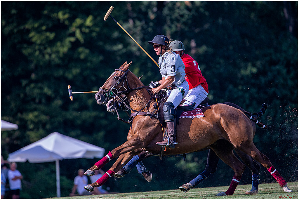 16. Polopicknick, 26.07.2019