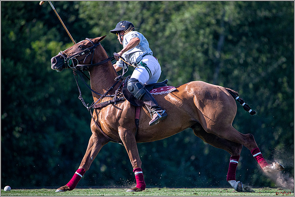 16. Polopicknick, 26.07.2019