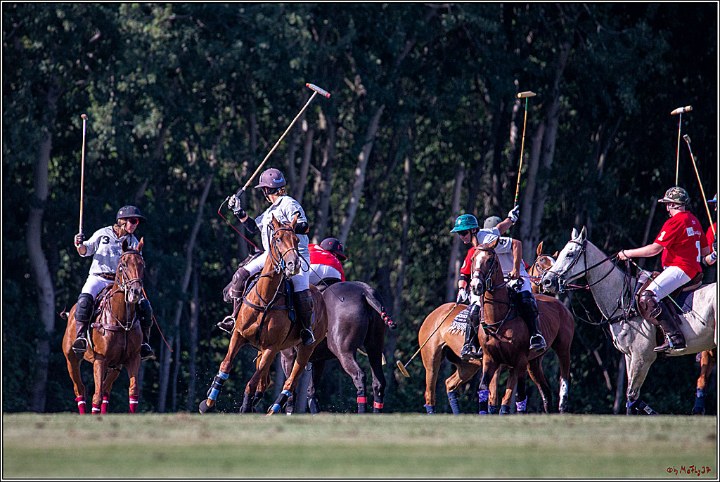 16. Polopicknick, 26.07.2019