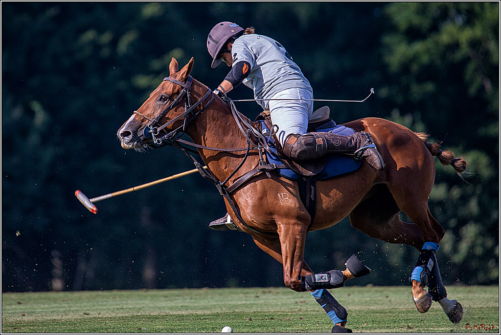 16. Polopicknick, 26.07.2019