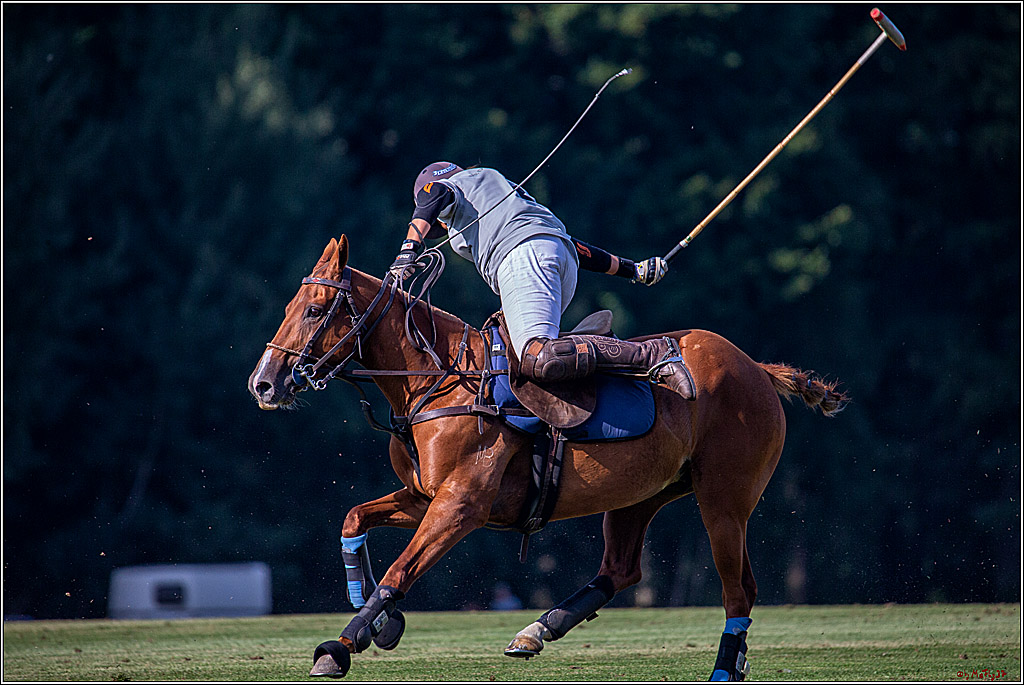 16. Polopicknick, 26.07.2019