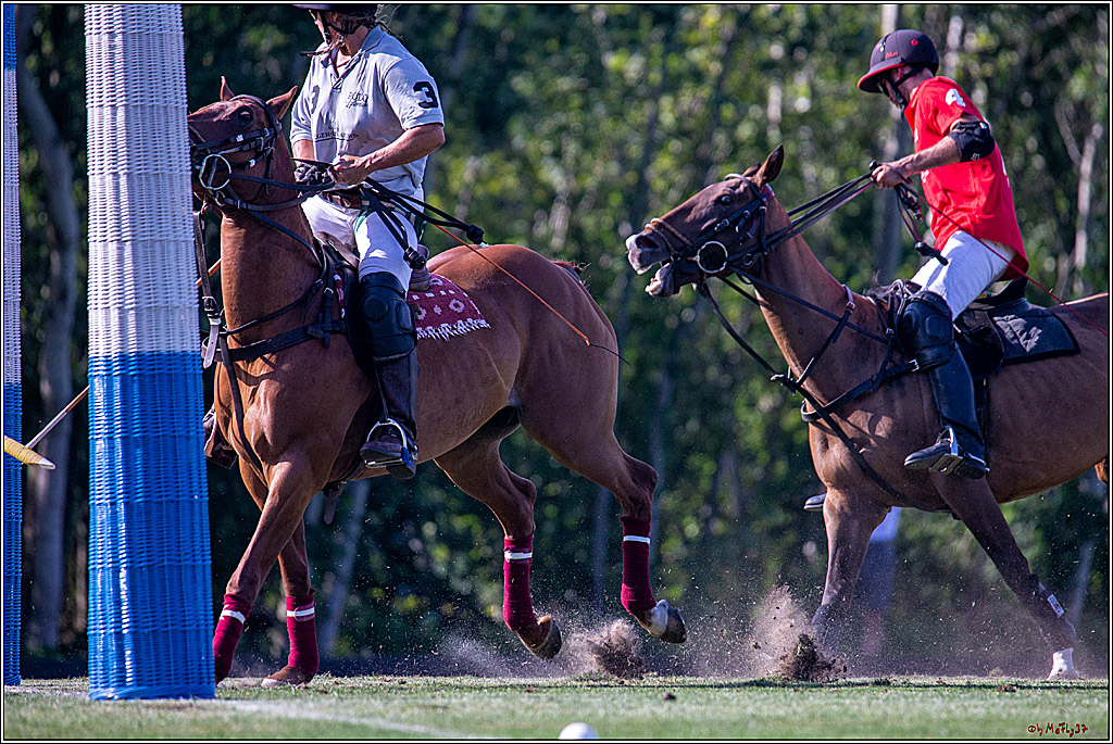 16. Polopicknick, 26.07.2019