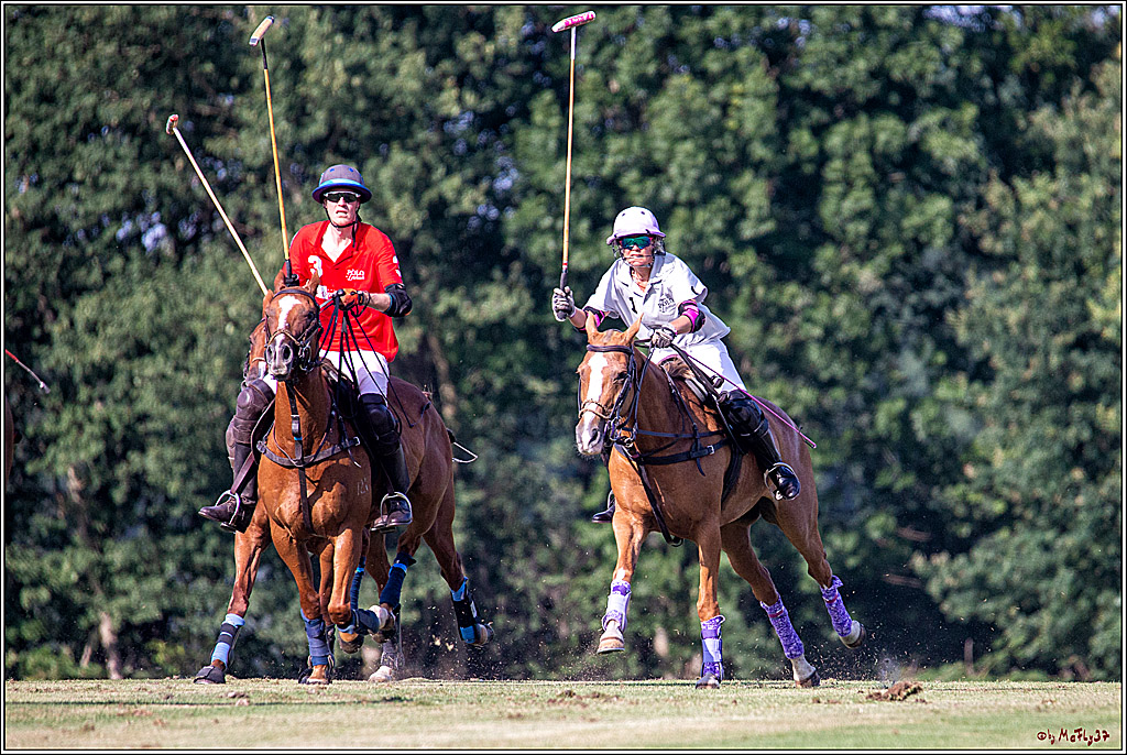 16. Polopicknick, 26.07.2019