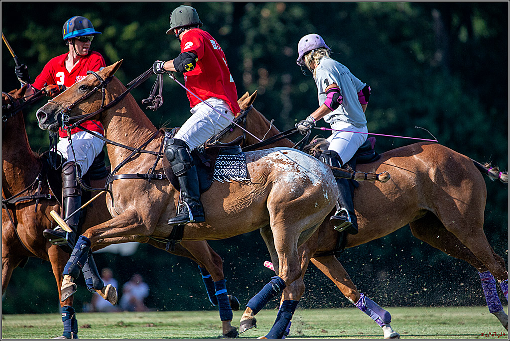16. Polopicknick, 26.07.2019