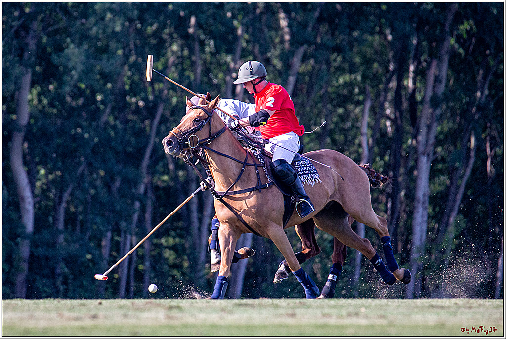 16. Polopicknick, 26.07.2019