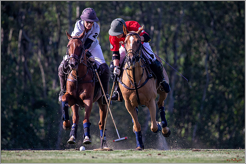 16. Polopicknick, 26.07.2019