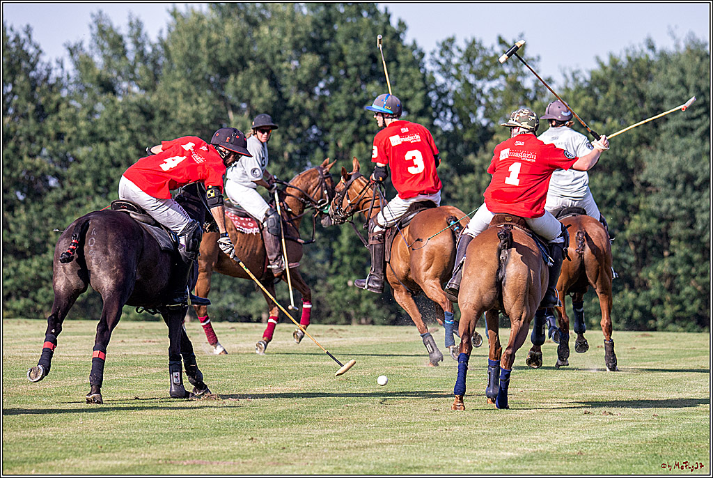 16. Polopicknick, 26.07.2019