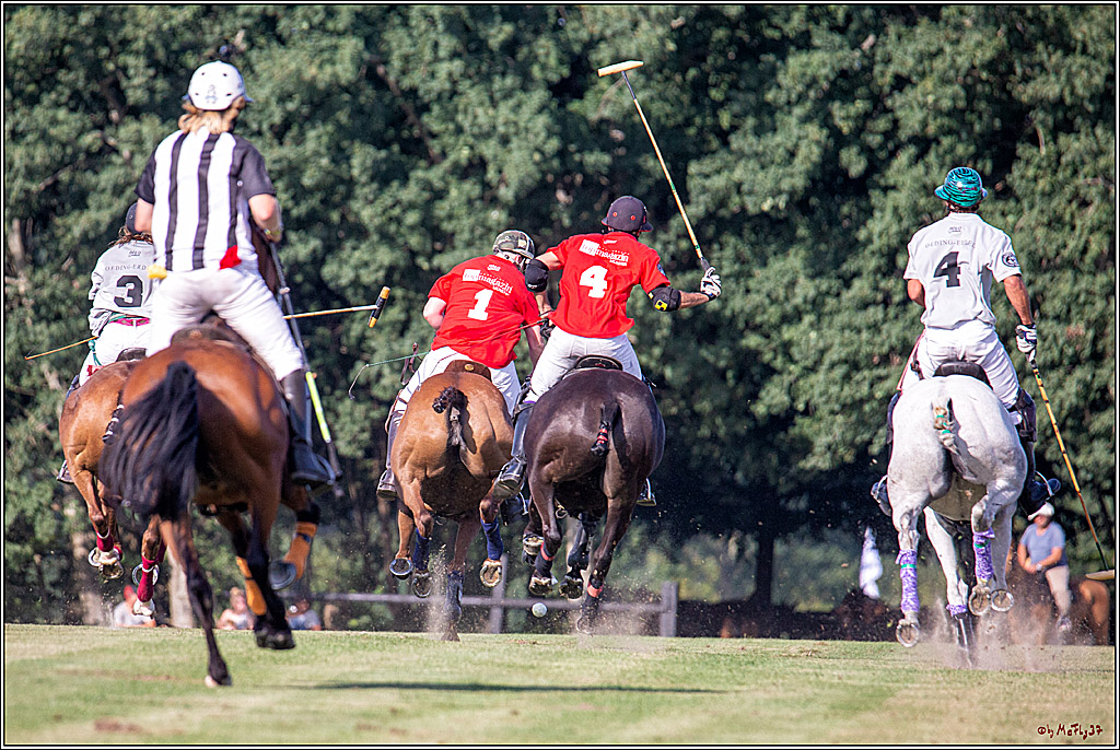 16. Polopicknick, 26.07.2019