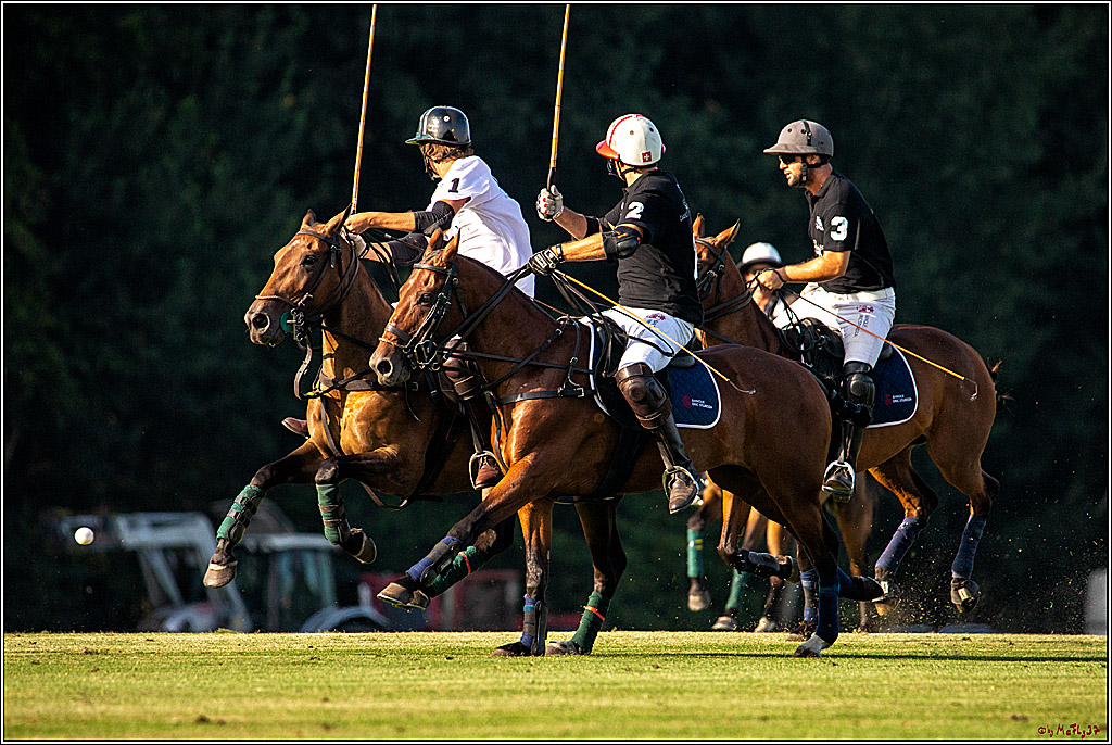 16. Polopicknick, 26.07.2019