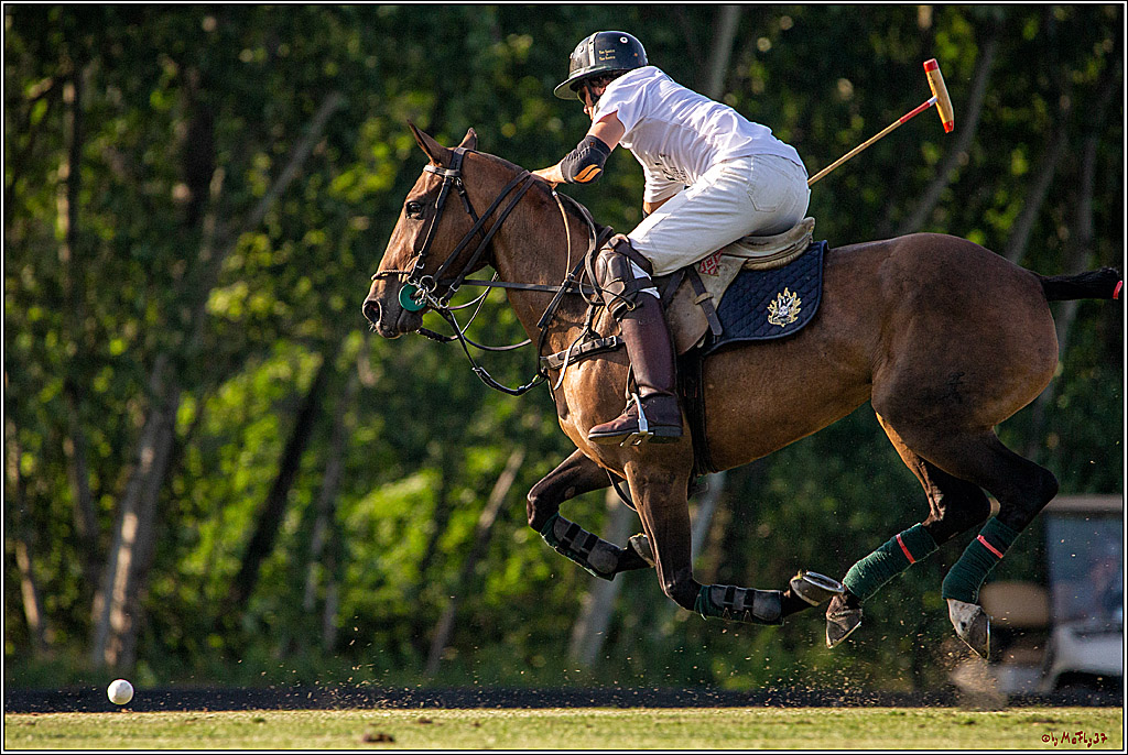 16. Polopicknick, 26.07.2019