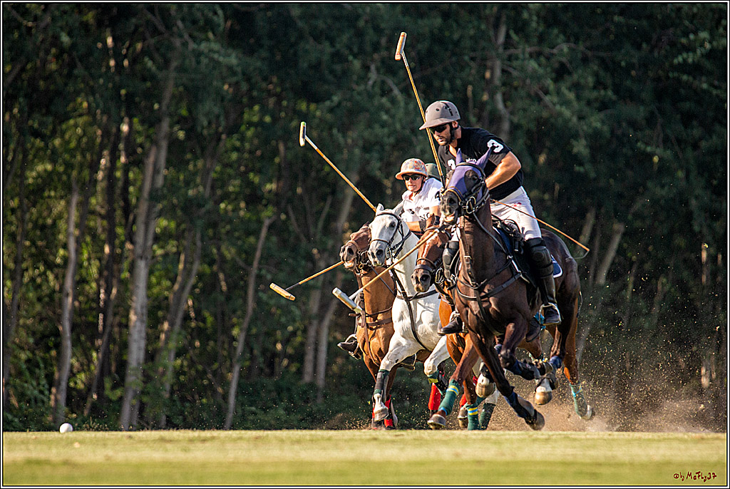 16. Polopicknick, 26.07.2019