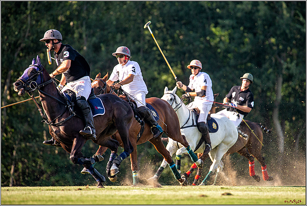16. Polopicknick, 26.07.2019