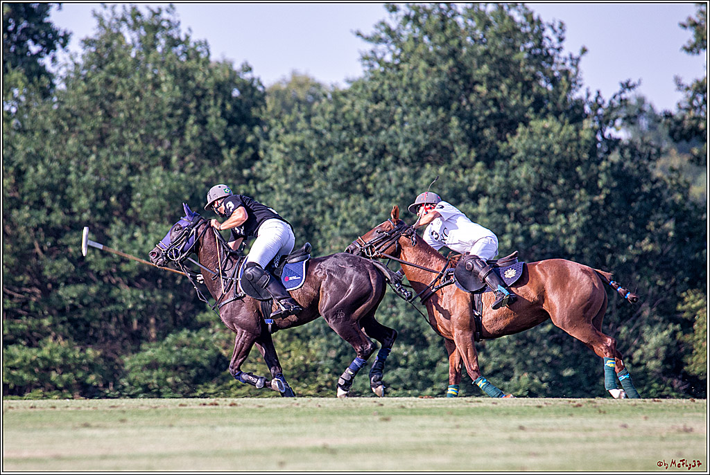 16. Polopicknick, 26.07.2019
